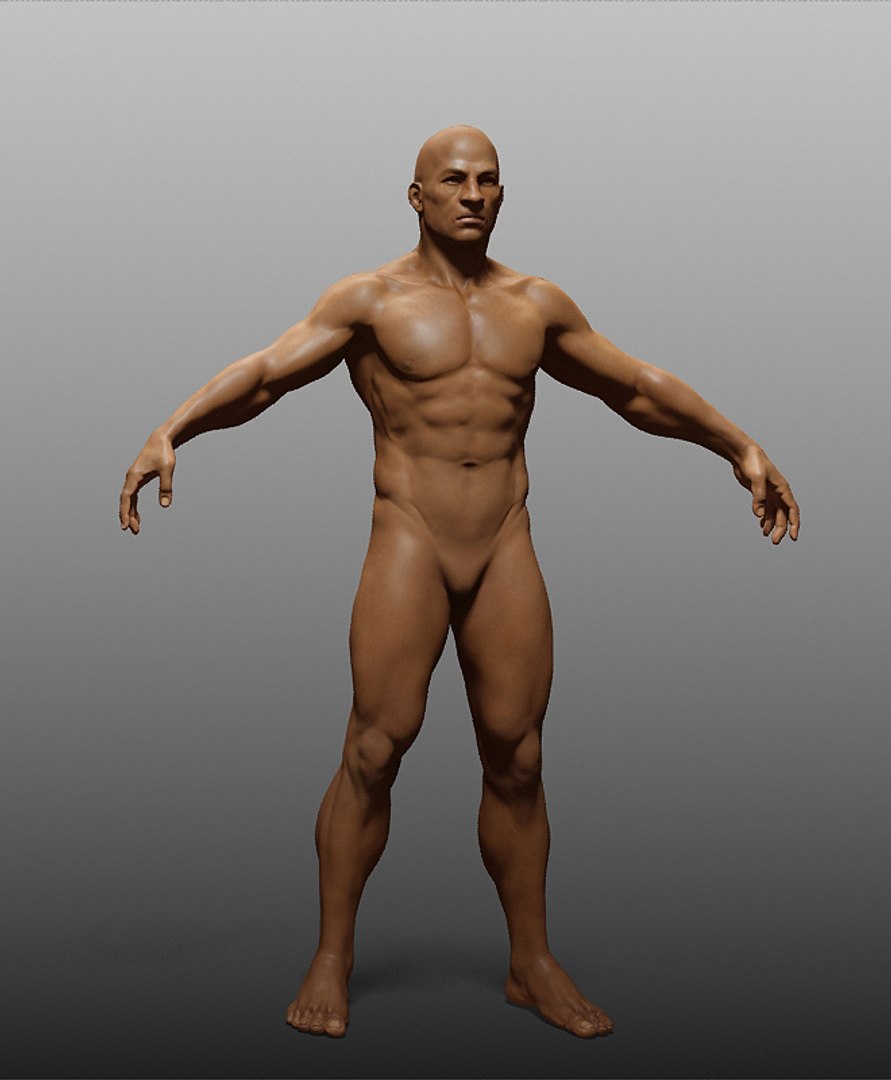 human zbuilder 3d max https://p.turbosquid.com/ts-thumb/nx/BJ73aX/QXUPgzVT/9/jpg/1353868916/1920x1080/fit_q87/2e3b85e55951854519f1f4720cfbe0c2d8f5fba7/9.jpg