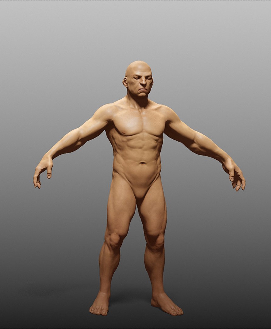 human zbuilder 3d max https://p.turbosquid.com/ts-thumb/nx/BJ73aX/TReUW103/12/jpg/1353868916/1920x1080/fit_q87/d4d20cb6eddd37d5db19c52bf1234258e5216d51/12.jpg