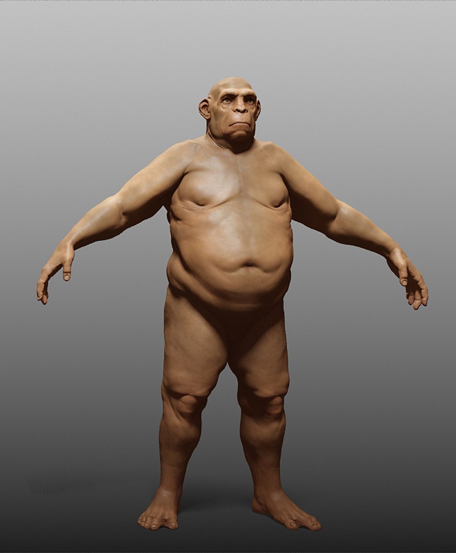 human zbuilder 3d max https://p.turbosquid.com/ts-thumb/nx/BJ73aX/Un8auzoe/13/jpg/1353868916/1920x1080/fit_q87/f9bee823fb2f5d9d34a4e56d24e24993d04b9c3c/13.jpg