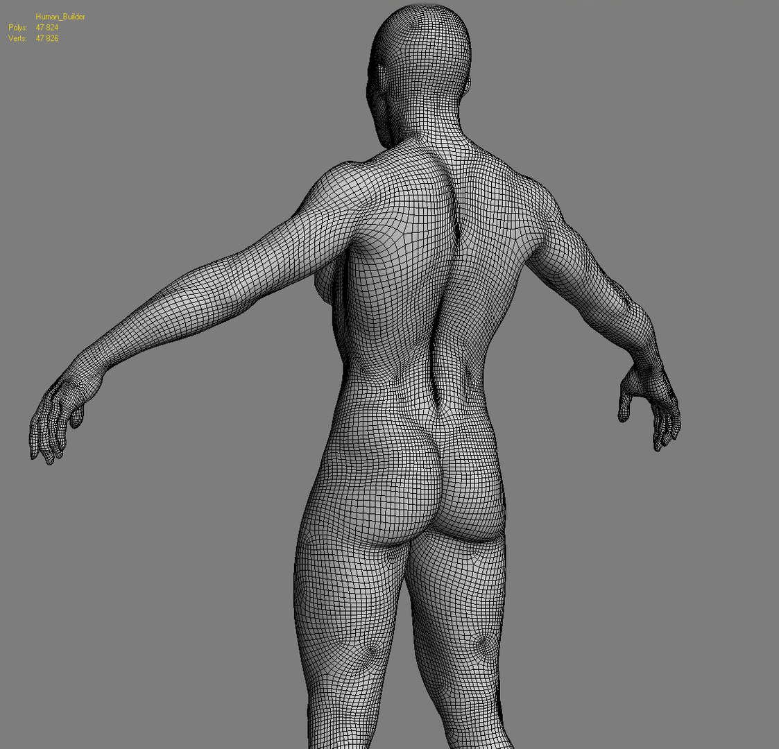 human zbuilder 3d max https://p.turbosquid.com/ts-thumb/nx/BJ73aX/acz9K9Z1/wire2/jpg/1353868916/1920x1080/fit_q87/428ea9dc5b98b26ee8db09457a9ecabfdc0a6c85/wire2.jpg