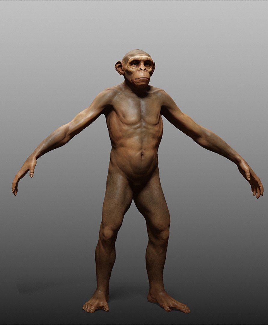 human zbuilder 3d max https://p.turbosquid.com/ts-thumb/nx/BJ73aX/erwpS4mE/8/jpg/1353868916/1920x1080/fit_q87/4dbfd42d2b5fc3408d5626724e30628f669ec811/8.jpg