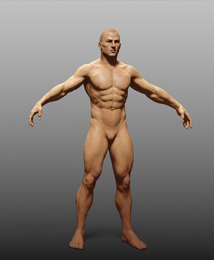 human zbuilder 3d max https://p.turbosquid.com/ts-thumb/nx/BJ73aX/n5AbWSwR/1/jpg/1353868915/1920x1080/fit_q87/dbea90330373b2a62d2a75236c9393609dd08a2e/1.jpg