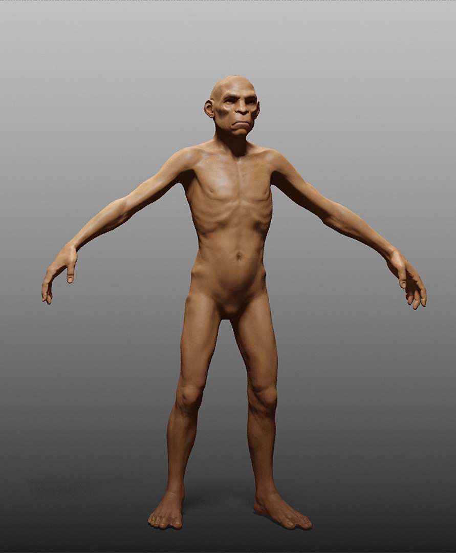 human zbuilder 3d max https://p.turbosquid.com/ts-thumb/nx/BJ73aX/tuMZx9H6/11/jpg/1353868916/1920x1080/fit_q87/582db9e1738f1601581bd0676f2eda7f009b2993/11.jpg