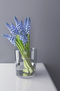 3D model muscari bunch glass vase