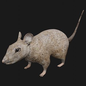 3D mouse rigged