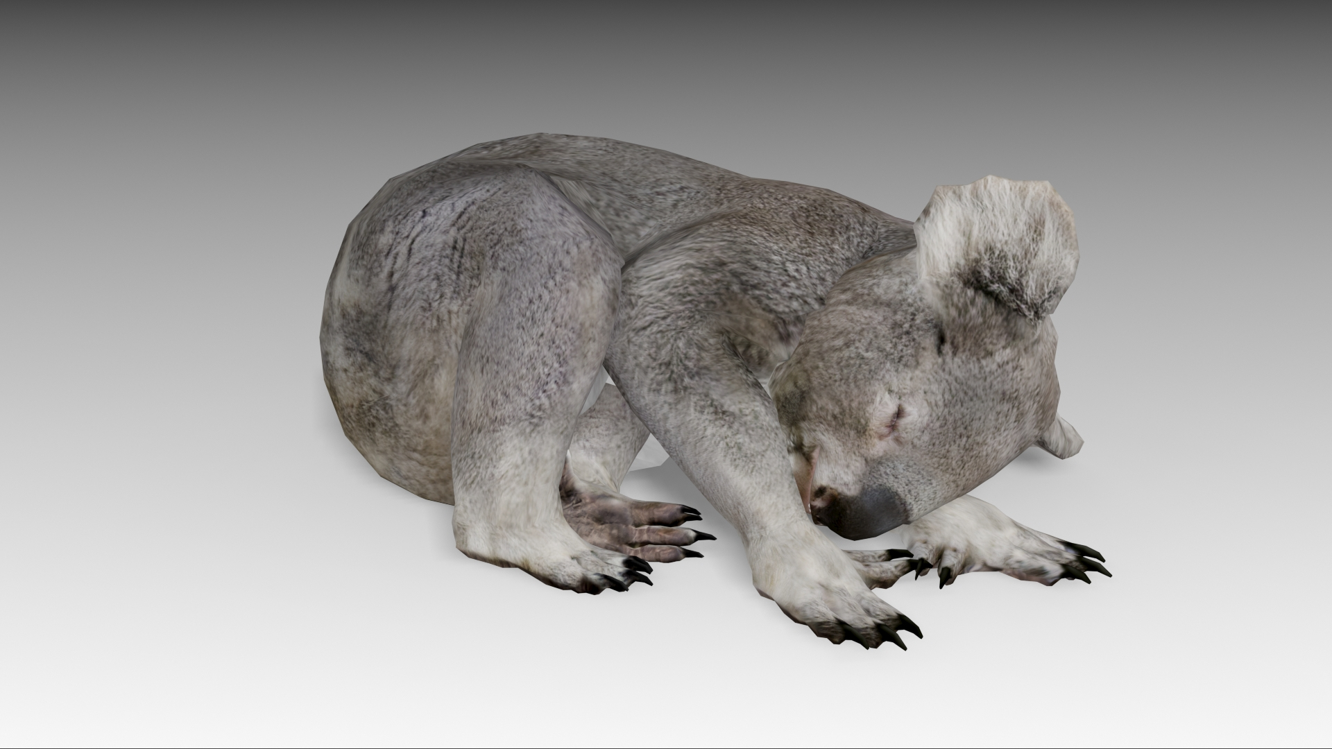 3D Koala TurboSquid 1746984