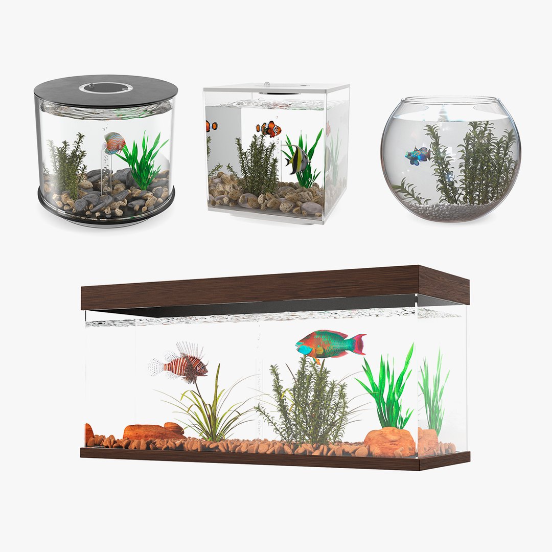 Fish Tanks Collection 2 3D model preview