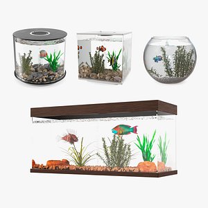 3D Fish-Collection Models