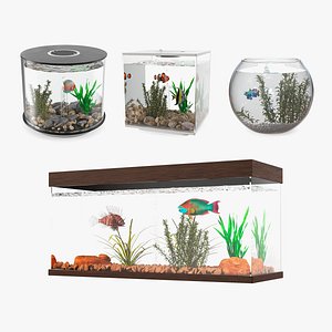 Fish Tanks Collection 2 3D model