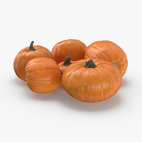 Pumpkin Patch Group