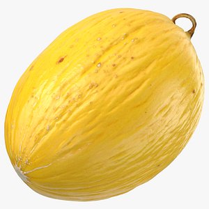 Brazilian Melon 01