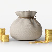 Money Sack Money Bag with Gold Coins