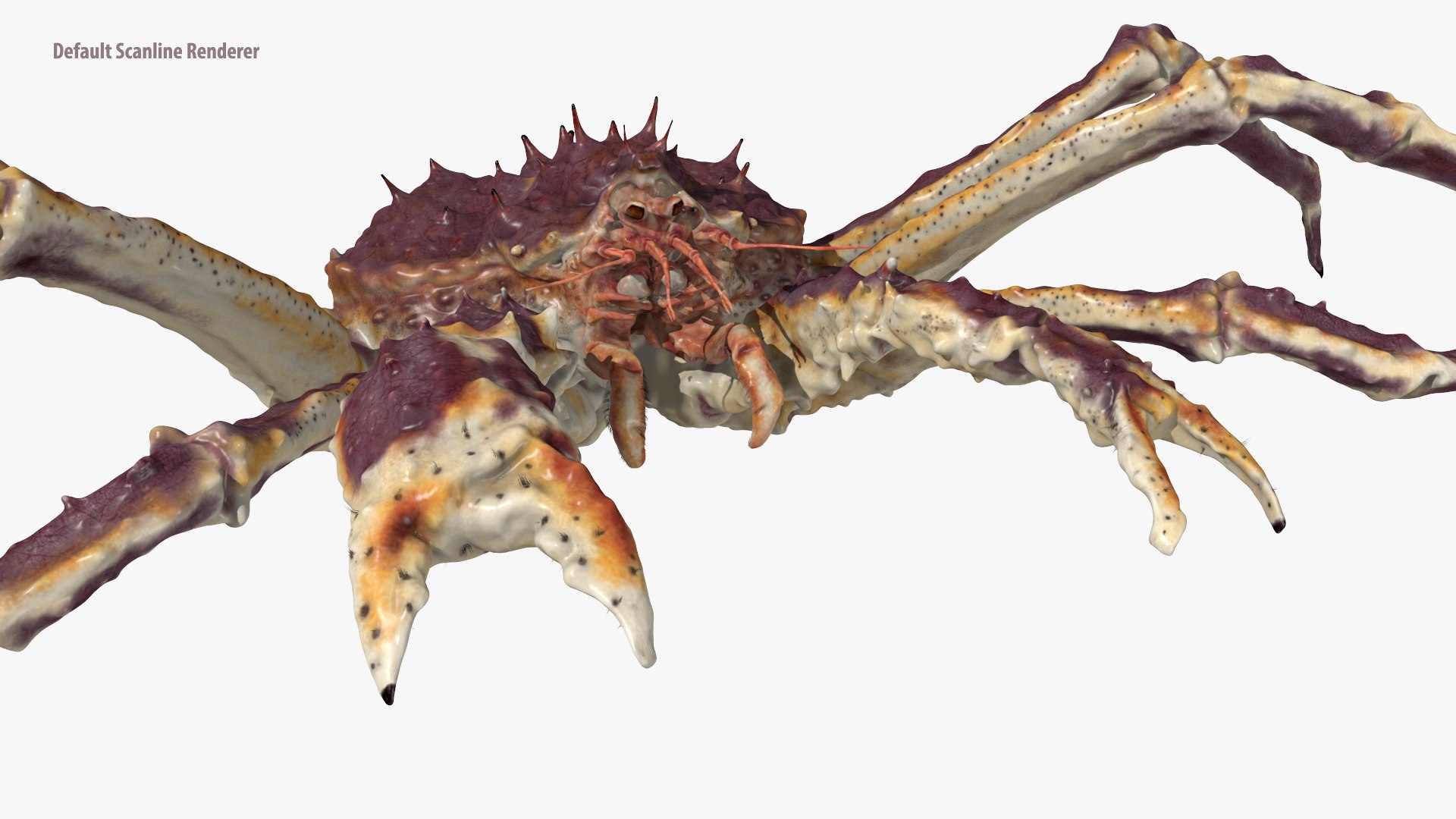 3D red crab king animation https://p.turbosquid.com/ts-thumb/nx/WN3aAR/pR/king_crab_defaultscanline/png/1617194036/1920x1080/fit_q87/2e40499803e2ca091b2de1726a0ded105a01a867/king_crab_defaultscanline.jpg