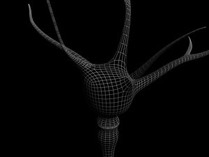 neuron brain cell max free