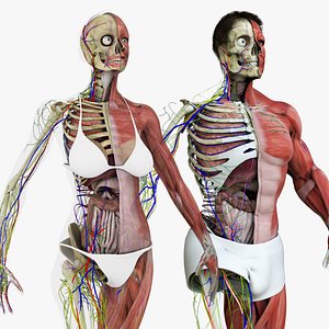 Motion Capture Anatomy Combo
