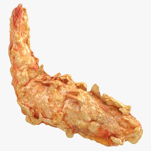Fried Shrimp 02