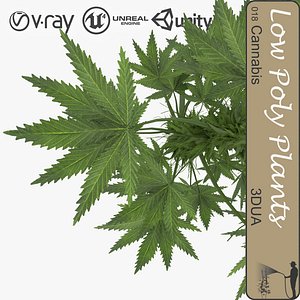 plant 010 cannabis 3d model