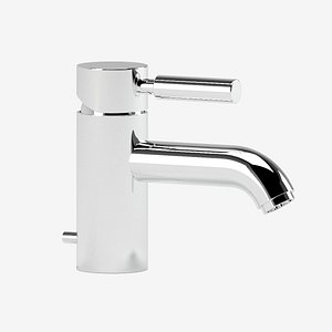 3D dorn bracht grande basin model