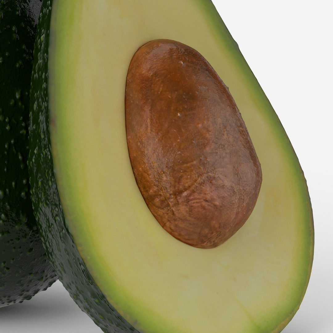 realistic avocado fruit real 3d model