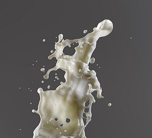 splash model
