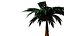 Coconut tree 3D