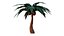 Coconut tree 3D