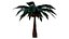 Coconut tree 3D
