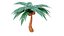 Coconut tree 3D