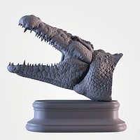 Crocodile Head