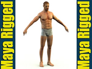 3d model of modeled rigged