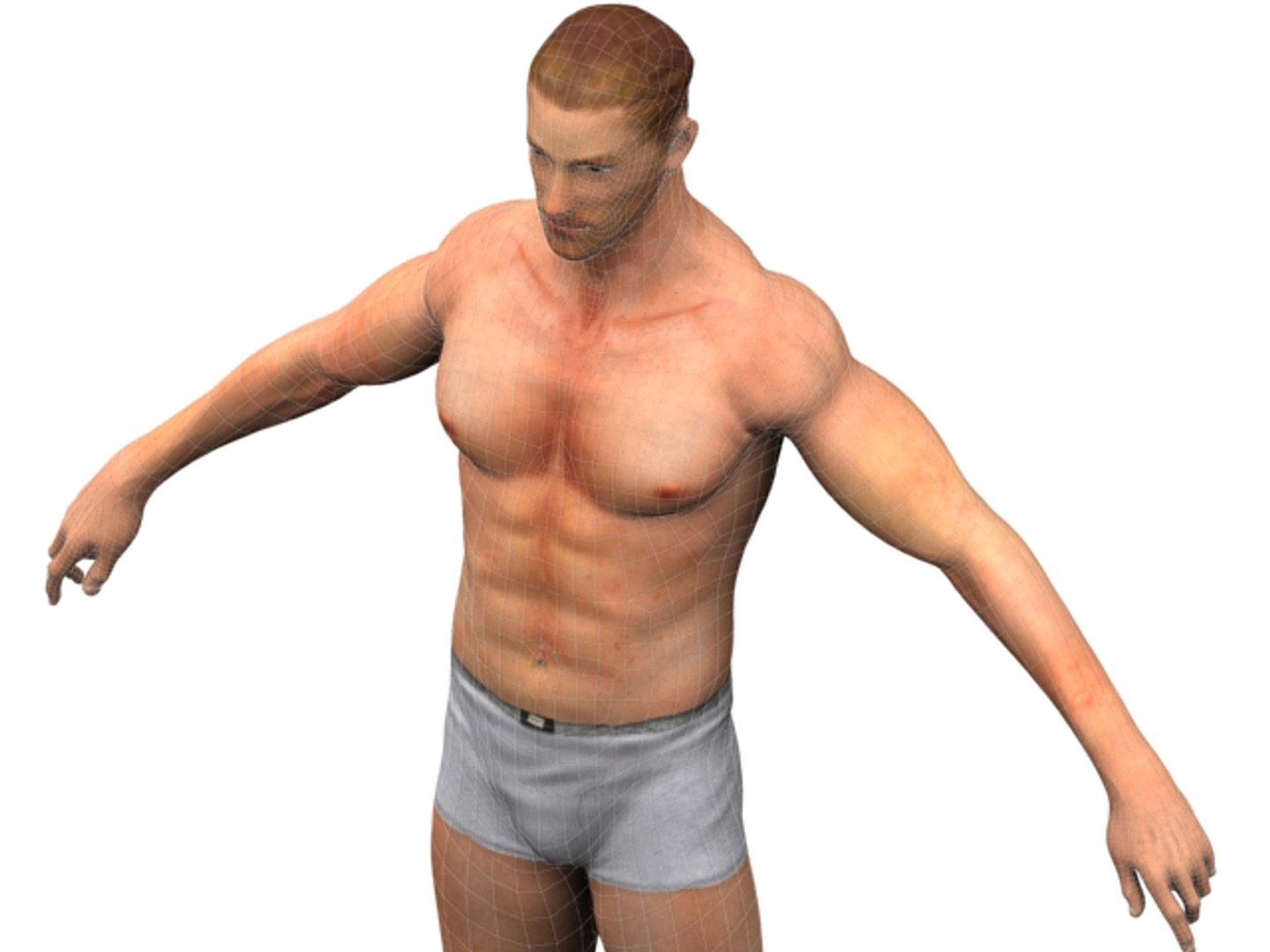 3d Model Of Modeled Rigged