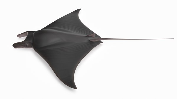 3D lesser devil model - TurboSquid 1450775