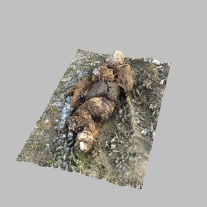 poop poo dog 3D model
