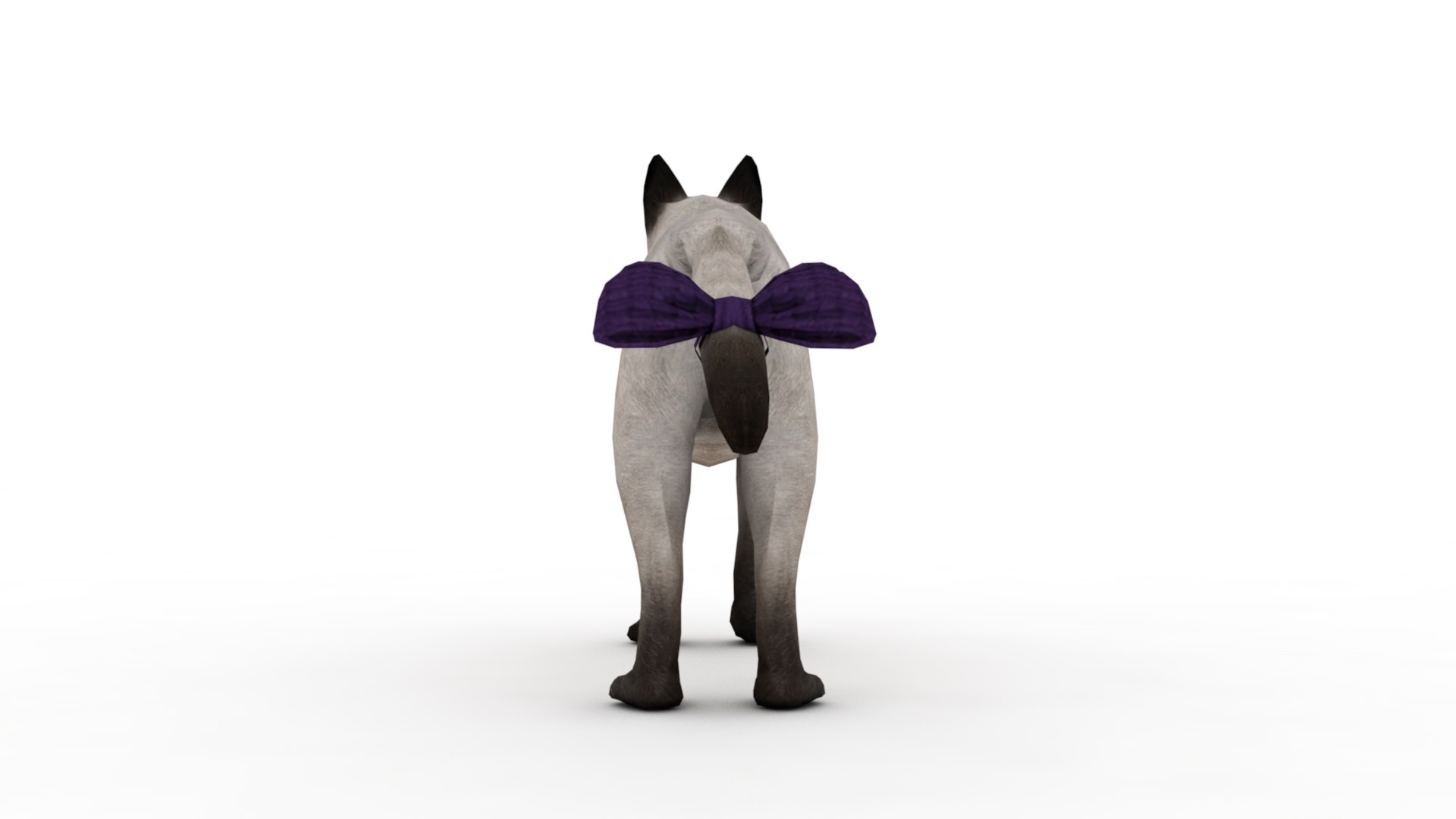 3D Cat model https://p.turbosquid.com/ts-thumb/ny/ZJGMxO/BU/dfs0004/jpg/1717607838/1920x1080/fit_q87/9457fc082b5e2b8605b1e7f6e8bbb9893b383a52/dfs0004.jpg