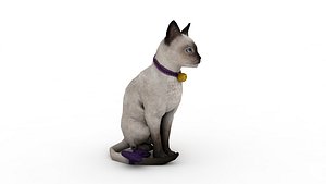 3D Cat model
