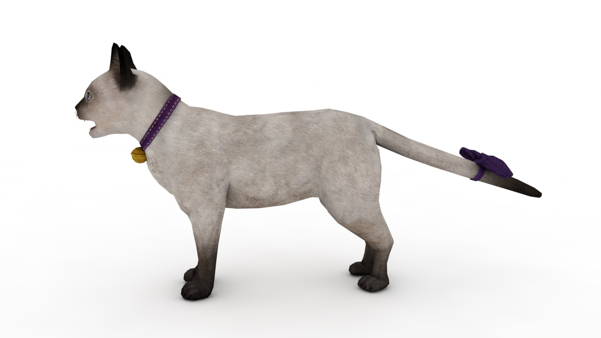 3D Cat model https://p.turbosquid.com/ts-thumb/ny/ZJGMxO/FZ/dfs0003/jpg/1717607838/1920x1080/fit_q87/bd07a0970244f19771dc485d19ea337daf9b9426/dfs0003.jpg