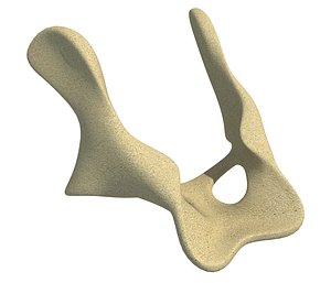 Animal Pelvis