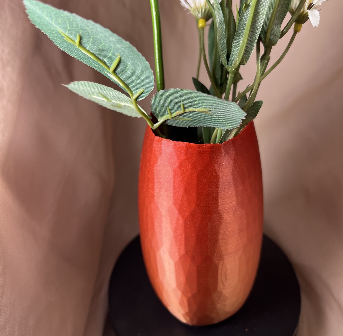 3D Faceted Vase https://p.turbosquid.com/ts-thumb/ny/kVTKPX/ji/img_1936/jpg/1750011967/1920x1080/fit_q87/46738c7e8cd0eb003e635930ecd0d5b9921f4b32/img_1936.jpg