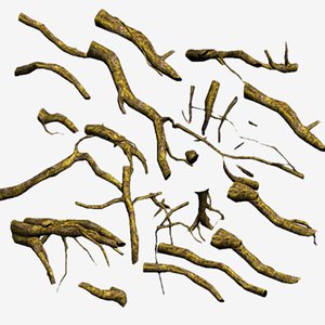 Tree Roots Driftwood UDK