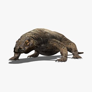コモドドラゴンさん専用 アニメーション コモドドラゴン 3Dモデル - ダウンロード 爬虫類
