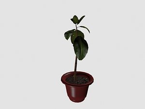 Plant1