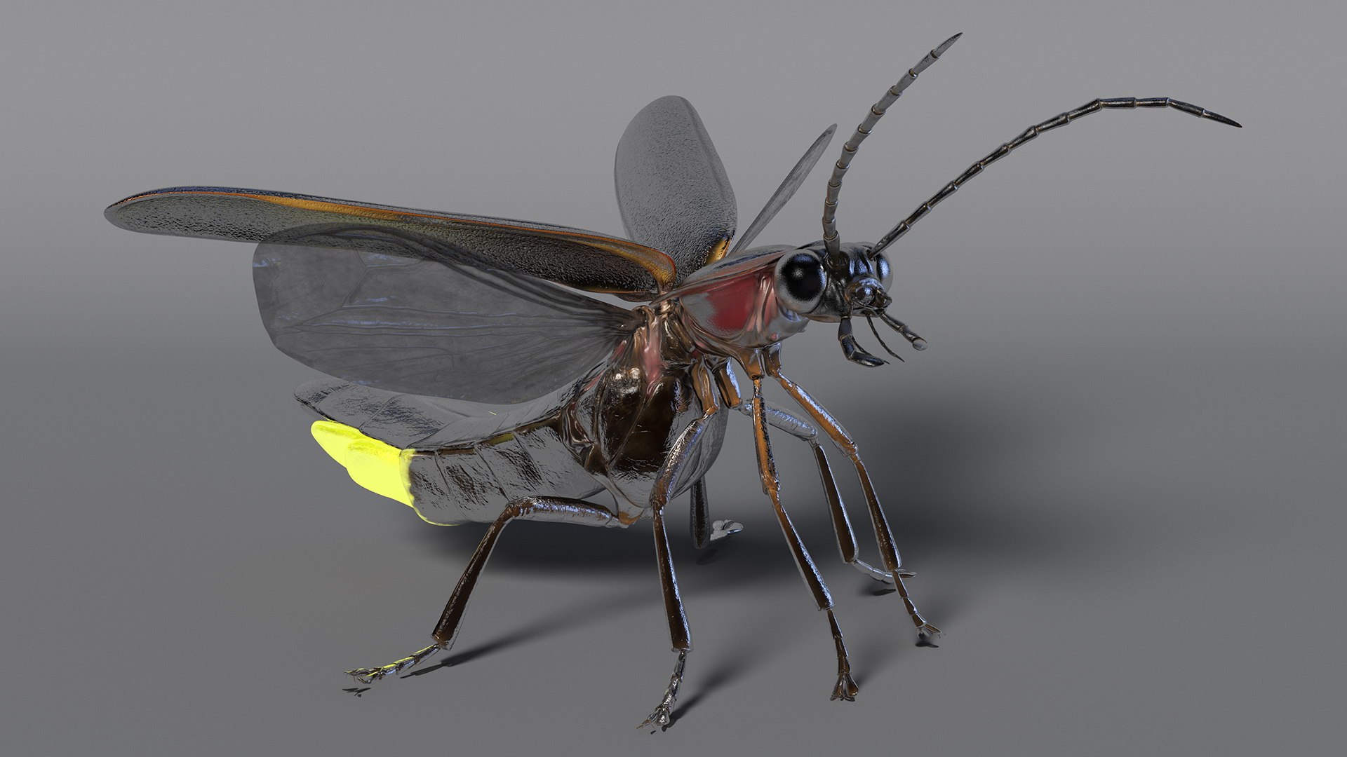 Firefly Glowing Standing Pose Model - TurboSquid 2171913