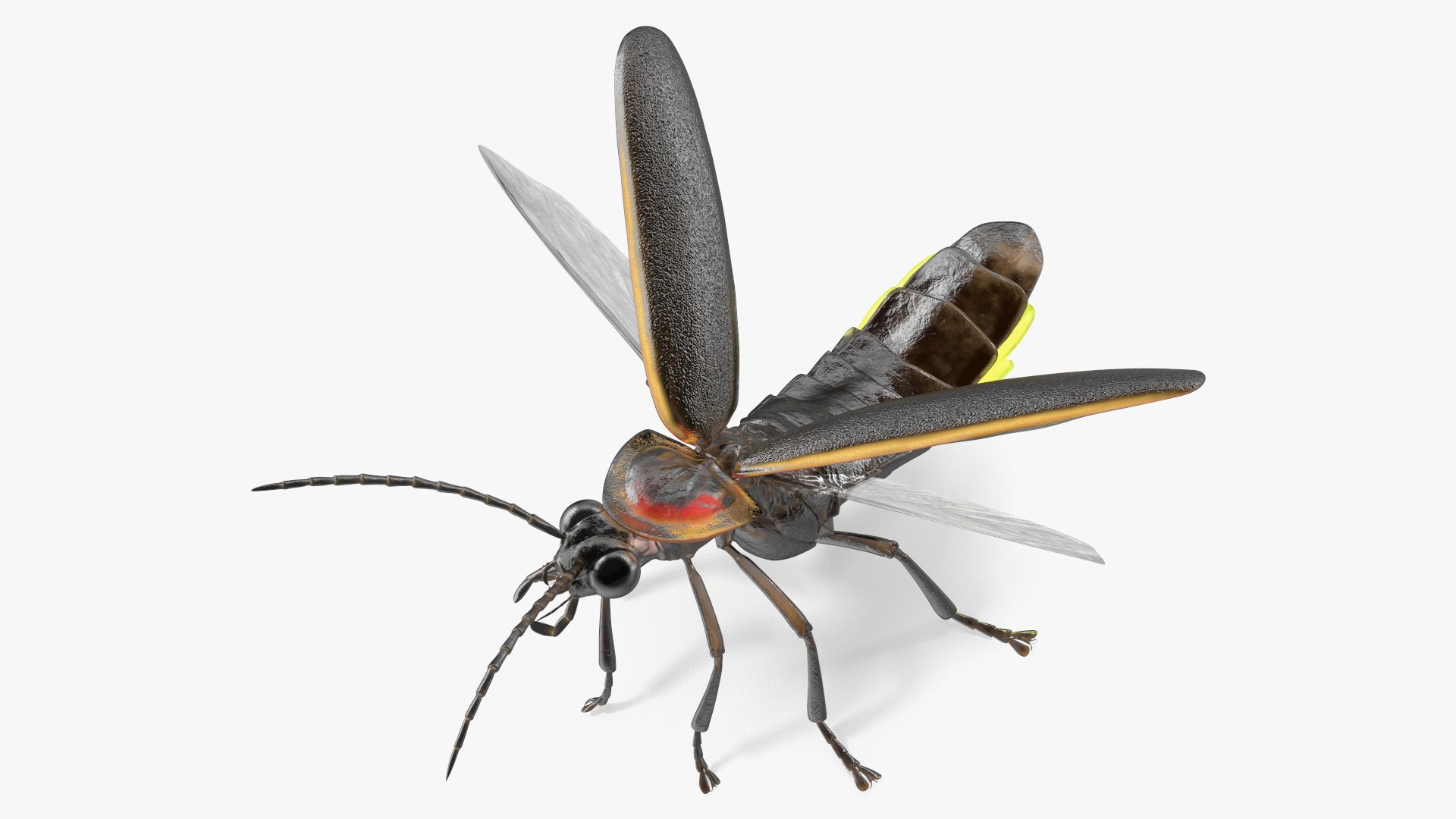 Firefly Glowing Standing Pose Model - TurboSquid 2171913
