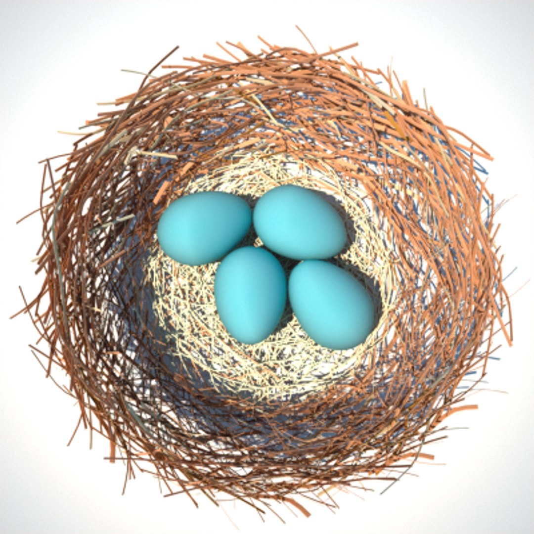 bird houses feeder 3d 3ds https://p.turbosquid.com/ts-thumb/nz/MTCGbZ/b8uhPF8P/birdcollection19/png/1232816531/1920x1080/fit_q87/fad36acca927ecc5ed2bdf2fb844546502af90f7/birdcollection19.jpg