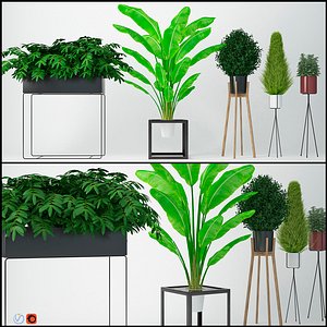 houseplant 13 3D model