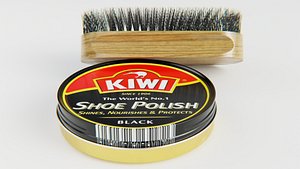 SHOE POLISH AND BRUSH