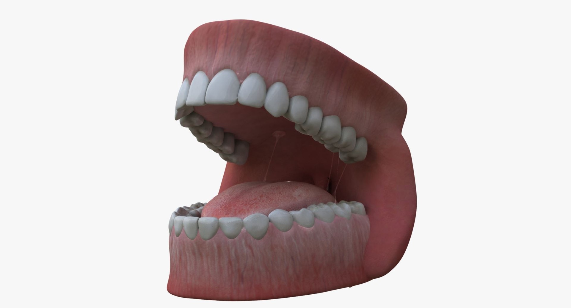 obj cammie realistic female character https://p.turbosquid.com/ts-thumb/nz/a0Rdth/qQ11MNG7/teeth/jpg/1510074622/1920x1080/fit_q87/99cae6c129bfc7e271a64942b324b6ad748d32ac/teeth.jpg