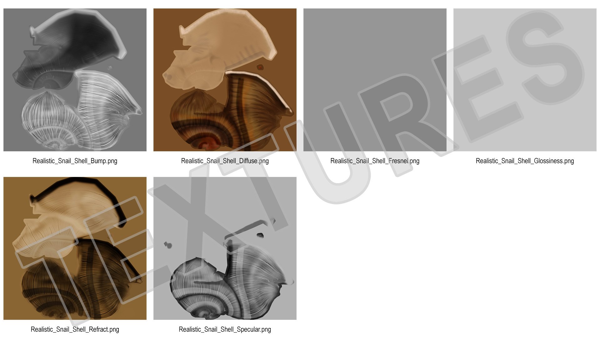 Realistic Snail Shell Model - TurboSquid 2237010