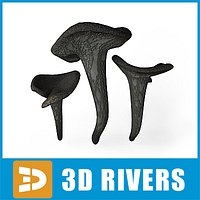 Black trumpet by 3DRivers