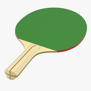 max ping pong paddle